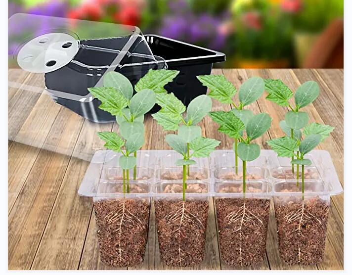6/12 Grid Plastic Seedling Box Greenhouse Germination Kit Base Greenhouse Growth Tray Germination Box With Cover