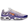 Nike Air Max Plus 'Color Flip' Herren CI5924-531