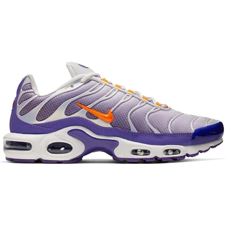 Nike Air Max Plus 'Color Flip' Herren CI5924-531