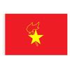 Chinese Young Pioneers Standard Flag