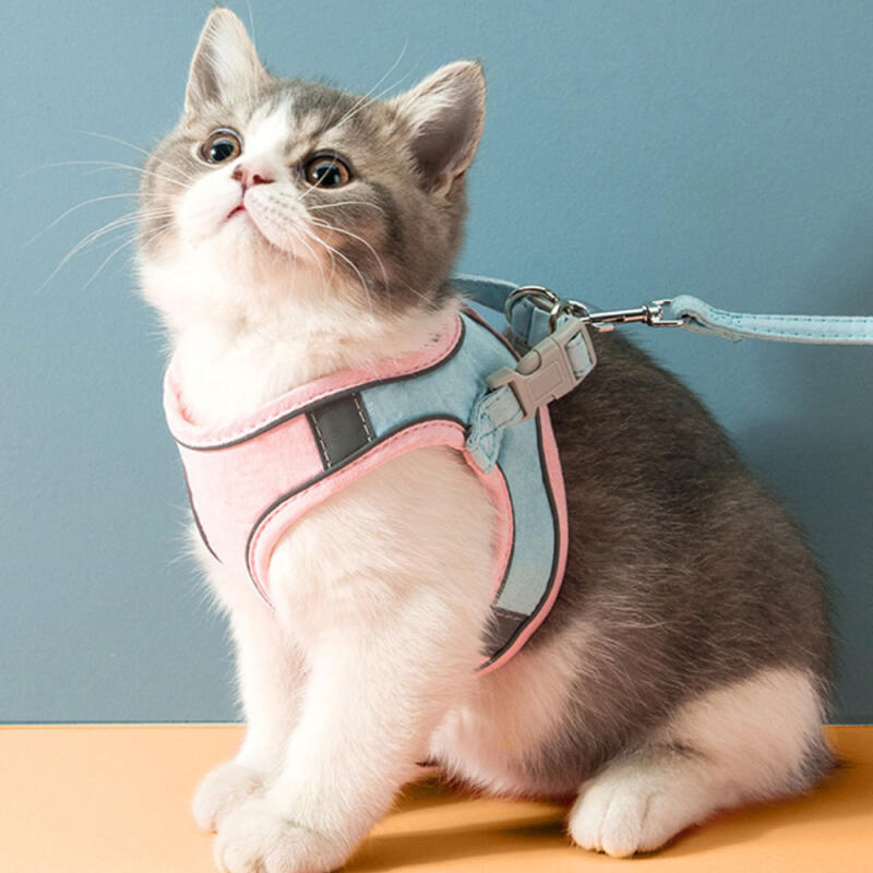 Pet Reflective Harness + Leash (M) (Pink + Sky)