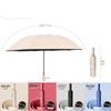 Accesorii – Umbrele