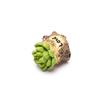 Lifelike Mini Artificial Fleshy Cactus Plant Landscape Decorative Potted Plants