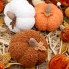 3Pcs Mini Pumpkin Decor Autumn Farmhouse Halloween Harvest Car Ornament Decorations