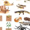 The World of Nature with Interactive STEM Toy Set
