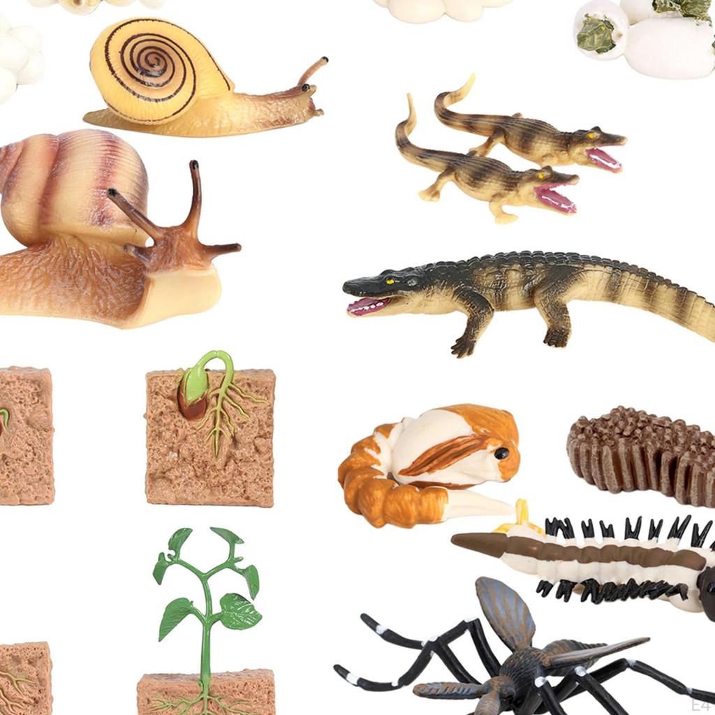 The World of Nature with Interactive STEM Toy Set