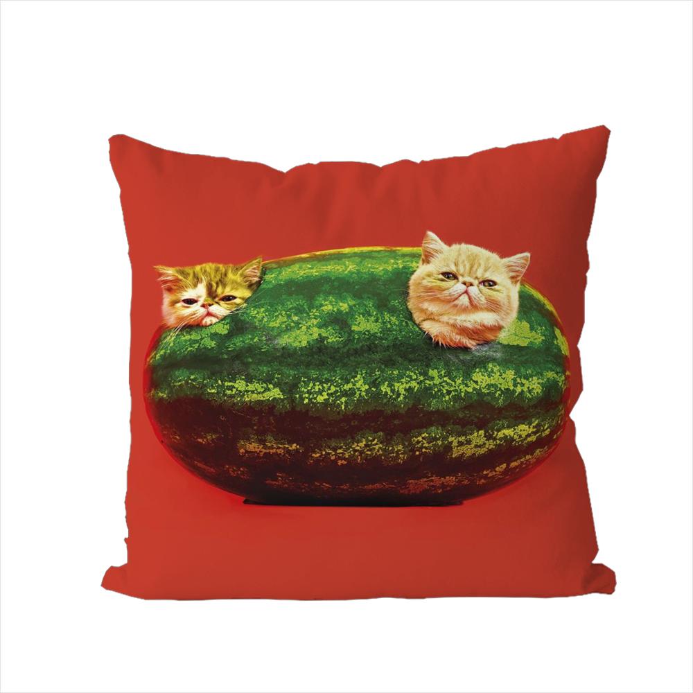 Cuscino Decorativo Quadrato in Peluche Stampa Double Face per Auto Divano Casa Copricuscino