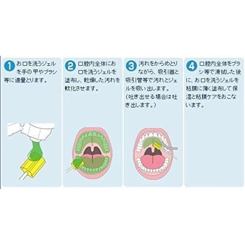 Mouthwash Gel 80g x 2 packs Nippon Dental Pharmaceutical