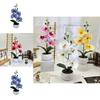 Butterfly Orchid 3d Print Faux Flower Desk Decor For Home Office And Wedding