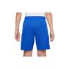 Nike Kids Shorts Moderate DM8532-480