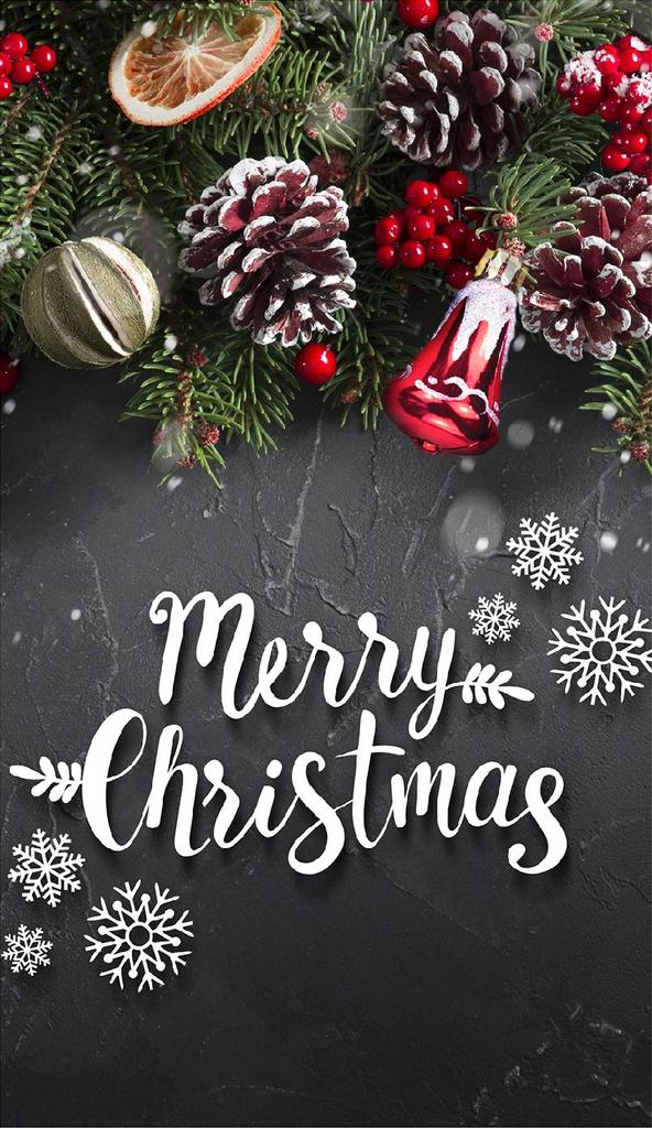 GLASS PLATE BOARD PANEL TABLETOP 30x52 CHRISTMAS