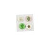 MégaCréa DIY - Sticker badge Cactus 2,5cm 4 pièces