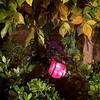 Outdoor Hanging Solar Light Soft Glow IP44 Waterproof Solar Powered Insect Shaped Lamp Garden Decoration