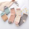 Fluffy Plush Winter Warm Cashmere Sox Thickening Soft Coral velvet socks