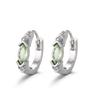 Hip-Hop Lake Water Green Horse Eye Horus Earrings Light Luxury Fashion Men'S And Women'S Zircon Earrings Trend Street Ear Clips