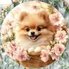 Metal Tin Sign Pomeranian In Flower Basket Decor Home Garden Shop Art