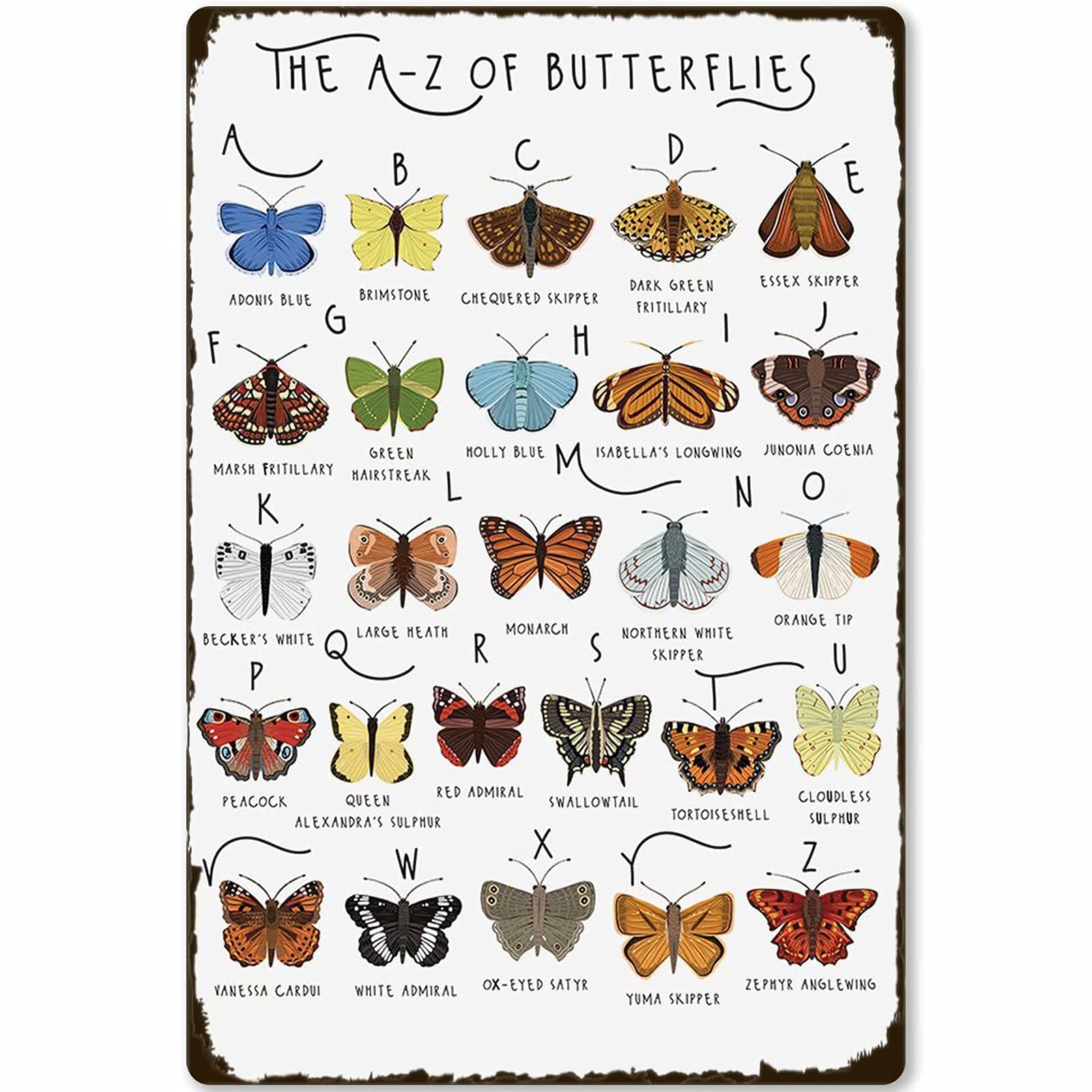 Veidsuh The A  Z of Butterflies Metal Knowledge Tin Sign Poster Tin Sign Metal 20x30cm（7.8x11.8inch）
