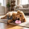2 Pezzi Giocattolo Donut in Lattice Premium per Cani Giocattolo Donut Squeaky da Masticare per Cani Gioco Interattivo