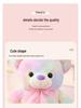 Colorful Large Teddy Bear Plush Toy and Pillow - Perfect Valentine's Day Gift