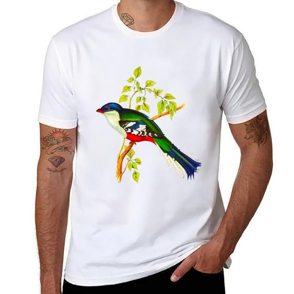 Illustration Of The Cuban Trogon Or Tocororo Tshirt Basic Casual Wear Short Sleeve Top Tshirt