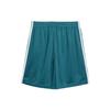 New Adidas Skateboarding Mesh Shorts Gender Neutral Turquoise HC2205