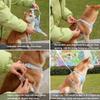 Dog Hand Holding Rope Breathable Pet Harness Vest Reflective Dog Rope Pet Hand Holding Rope