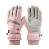 Ski Gloves for Men and Women In Winter Plus Velvet Thickened Waterproof Windproof Cold Warm Riding Electric Bike Touch Screen Gloves