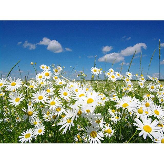 Flower Diamond Painting Accessories 5D DIY Diamond Mosaic Embroidery Cross Stitch Full Round Square Rhinestone Home Decoration