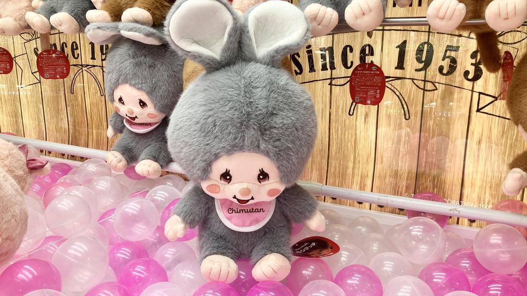 Mon * Chichi Plush Toy, Dull Gray, Big, Large, Extra Large, Chimtan, Approx. 38cm