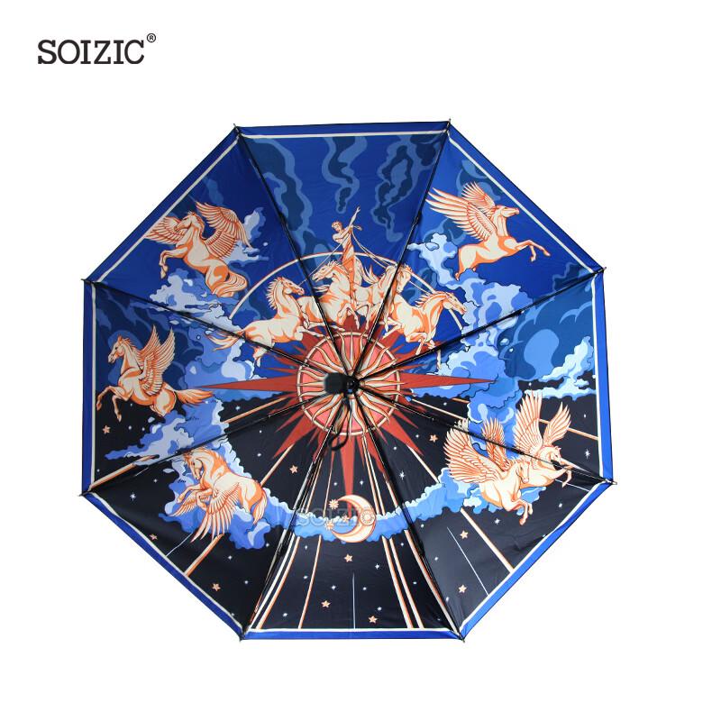Aurora Silk Scarf Art Umbrella Combo