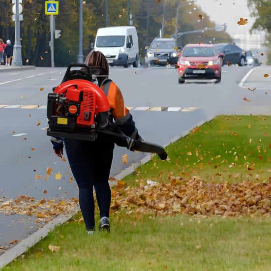 Leaf Blower, 63CC Gas Powered Backpack Leaf Blower, 665CFM 2-Stroke Snow Blower for Lawn Care Yard Dust Debris