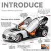 Bugatti Car Alloy Model For Kid With Sound Light Inertia Control Toy Collectible