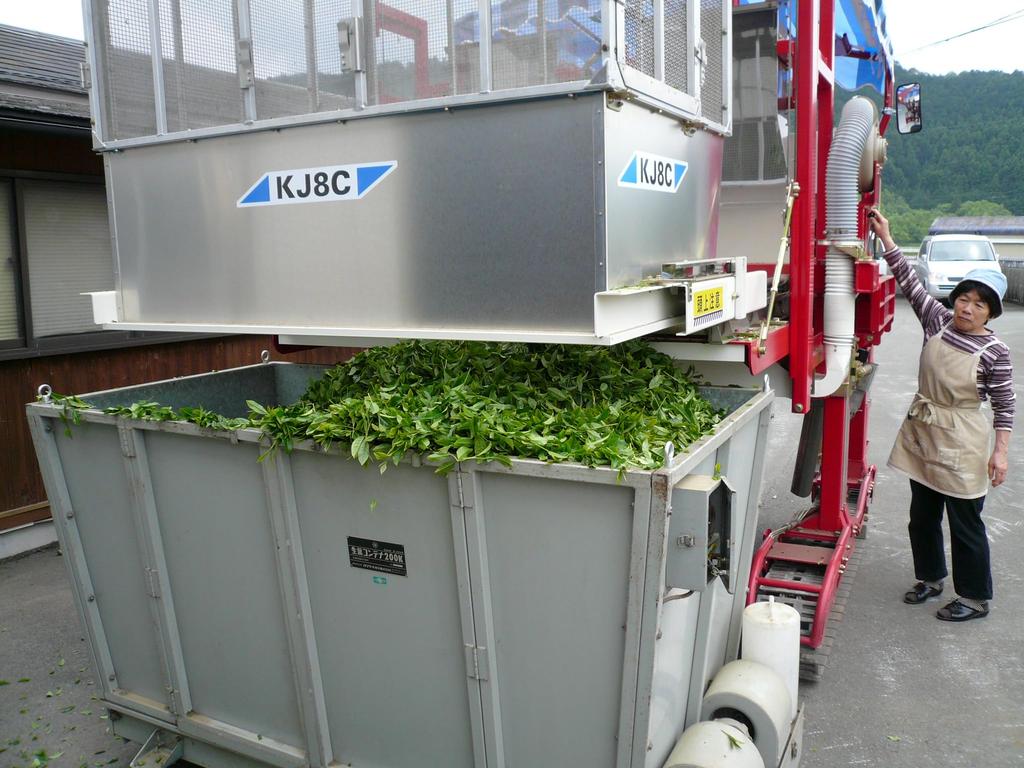 Kita Seicha Filter-in-Bottle Tea Leaves, 200g [20-Day Supply], Ise Tea, Cold Brew Tea, Tea Shop, Cold Brew Bottle, Delicious Tea Leaves, Uji Matcha,