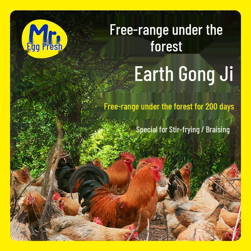 200-Day Free-range Native Rooster