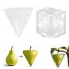 Molde para Dar Forma a Frutas para Cultivar Frutas Triangulares Cúbicas Únicas Molde de Plástico Transparente Molde Reutilizable para Cultivar Frutas y Verduras para Tomate Fresa