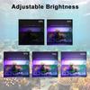 Luce LED per Acquario ad Alta Luminosità a 6 File con Alimentatore USB Design Sottile e Modalità di Luminosità Multiple Decorazioni per Acquario