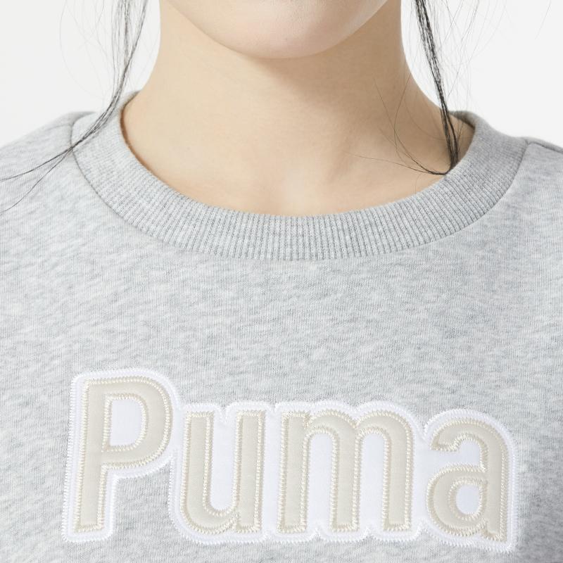 Puma Letter Logo Embroidered Running Sports Fitness Casual American Hoodie Women Hoodies Gray 626169-04