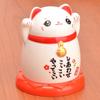 Lucky Cat High Quality Organizer Toothpick Holder Toothpick Box Toothpick Container Dispenser