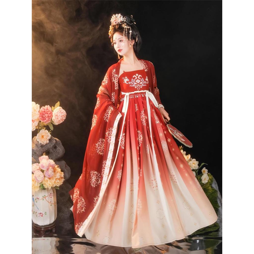 Китайский стиль династии Тан, платье HE ZI, женский костюм Hanfu, повседневный костюм с вышивкой