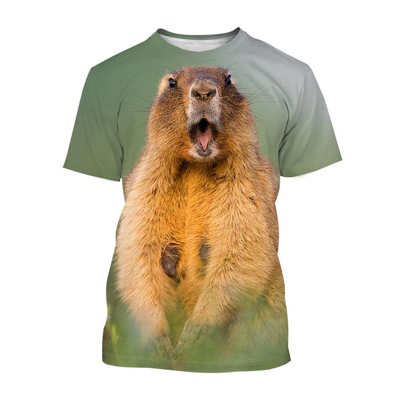 Cute Animal Groundhog 3d Printing T Shirt For Men Kids Casual Street Short-sleeved T-shirt Tops Summer Street Oversized Tees
