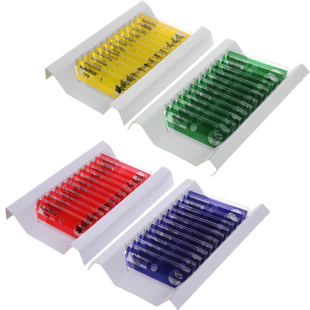 Prepared Microscopic Biological Specimens Sample Specimens for Kids Science Education China Mainland