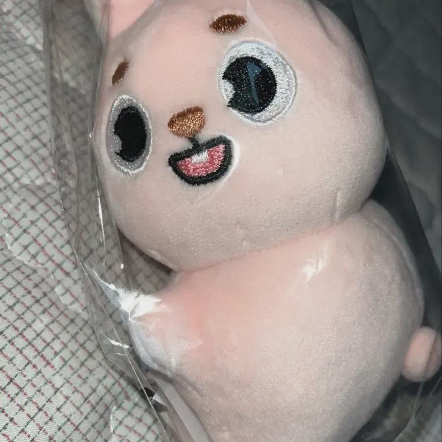 

Кукла-грелка для рук Day6 Klcon в продаже!