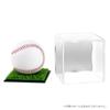Generic Baseball Ball Case Signed Ball Case Baseball Acrylic Display Case Protection Exhibition Dustproof Square Collection Case Transparent Case
