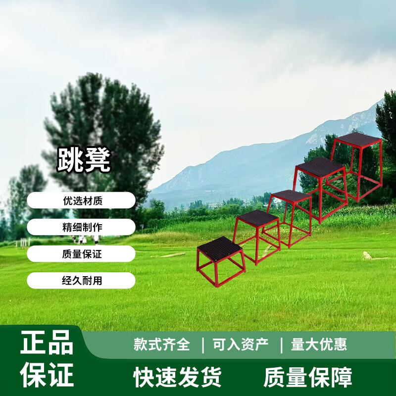 Plyometric Jump & Balance Training Platform