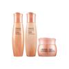 DAYSYS Nutri System Essential 3-piece Set