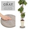 Belca Flower Stand Planter Base with Casters Diameter 30 x Height 3.5cm Gray Round Pot Holder Load Capacity 25kg Movable BB-PB-GY