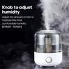 3L Großraum-Luftbefeuchter Haushalt Ultraschall-Luftbefeuchter Professioneller Pflanzennebel Aroma-Diffusor