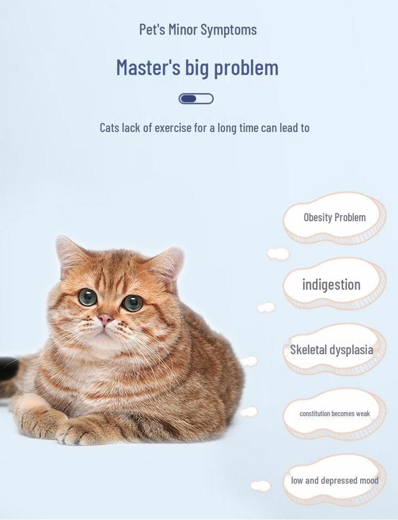 Leiser Katzen-Laufband: Großes Haustier-Laufrad für Katzen & Hunde