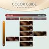 hair Bigen Repicolor 2N more natural brown pieces Hoyu for whole or partial hair (Gray dye) - Lighter, (2 + bonus) Self-Color