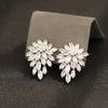 Temperament Premium Snowflake Zircon Earrings Silver Exquisite Ear Clips Women's Versatile Earrings Birthday Party
